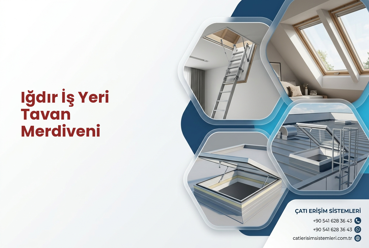 Iğdır İş Yeri Tavan Merdiveni
