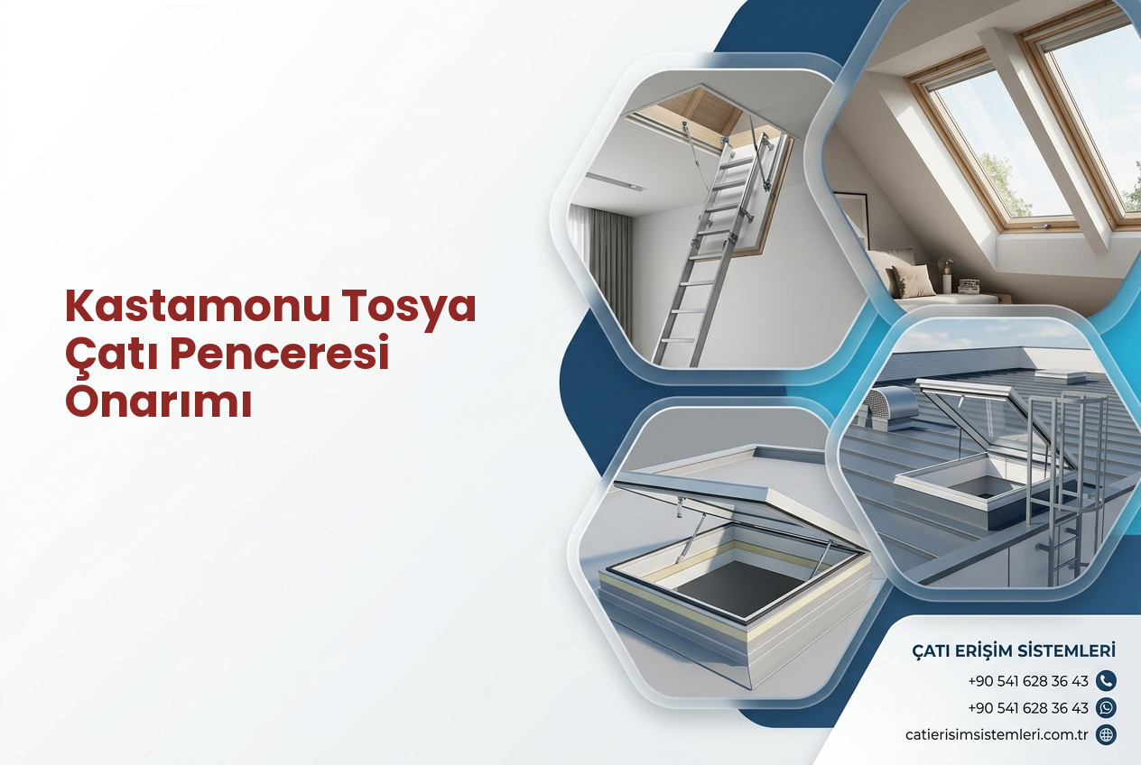 Kastamonu Tosya Çatı Penceresi Onarımı