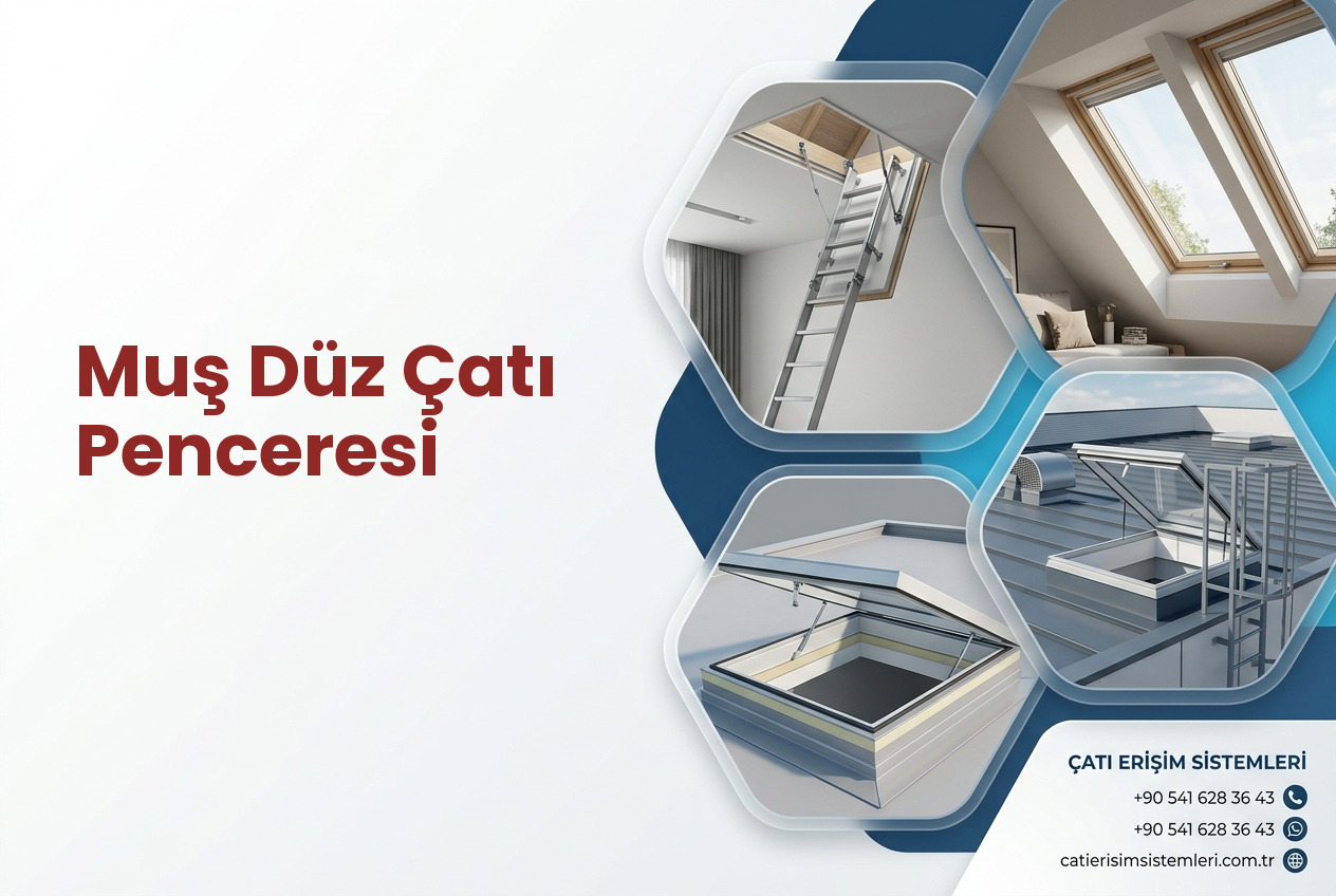 Muş Düz Çatı Penceresi