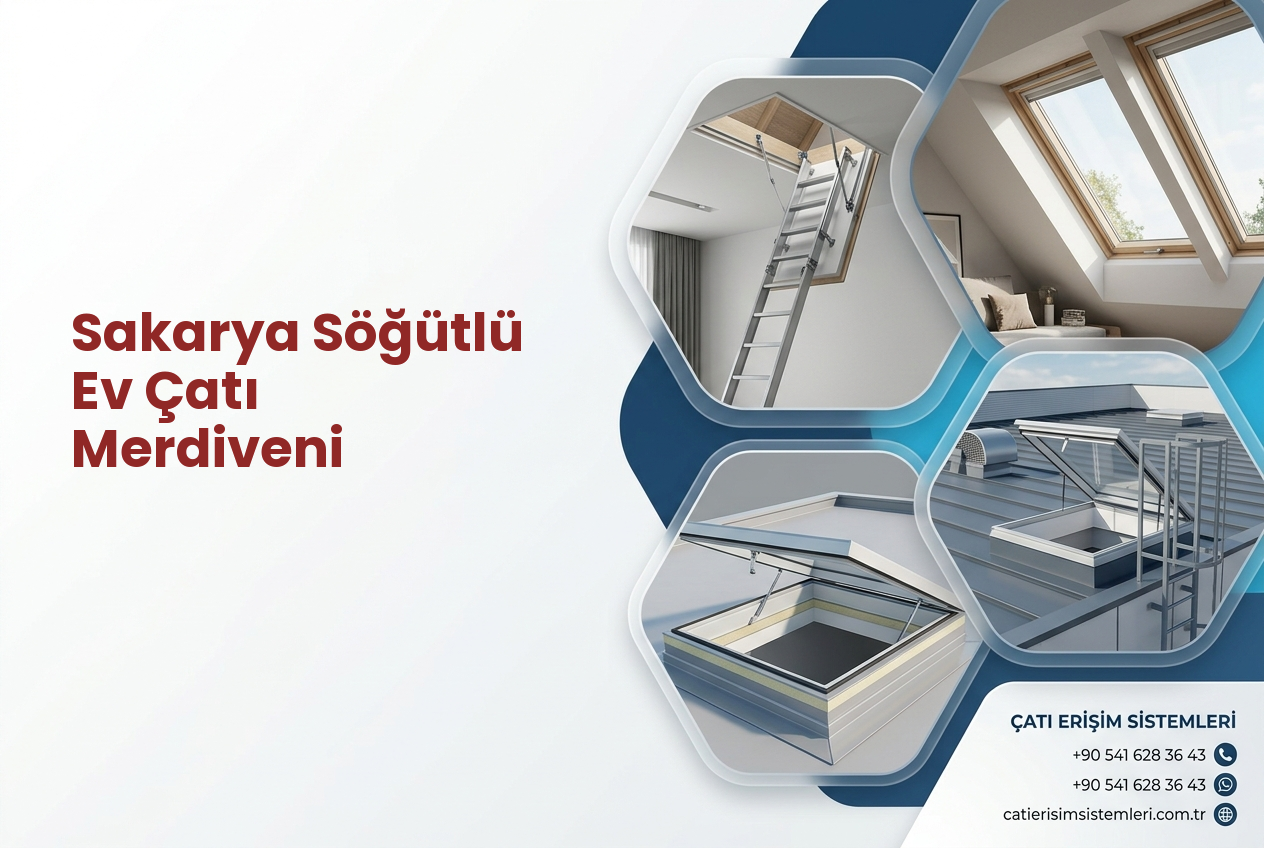 Sakarya Söğütlü Ev Çatı Merdiveni